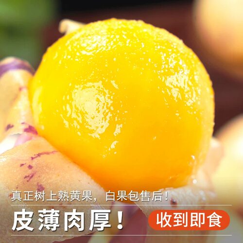 正宗2026年新鲜采摘云南石林人参果黄心袁果整箱包邮发货应季水果