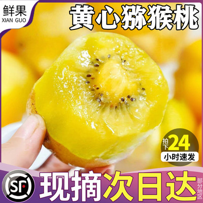 浦江黄心猕猴桃新鲜应季孕妇水果