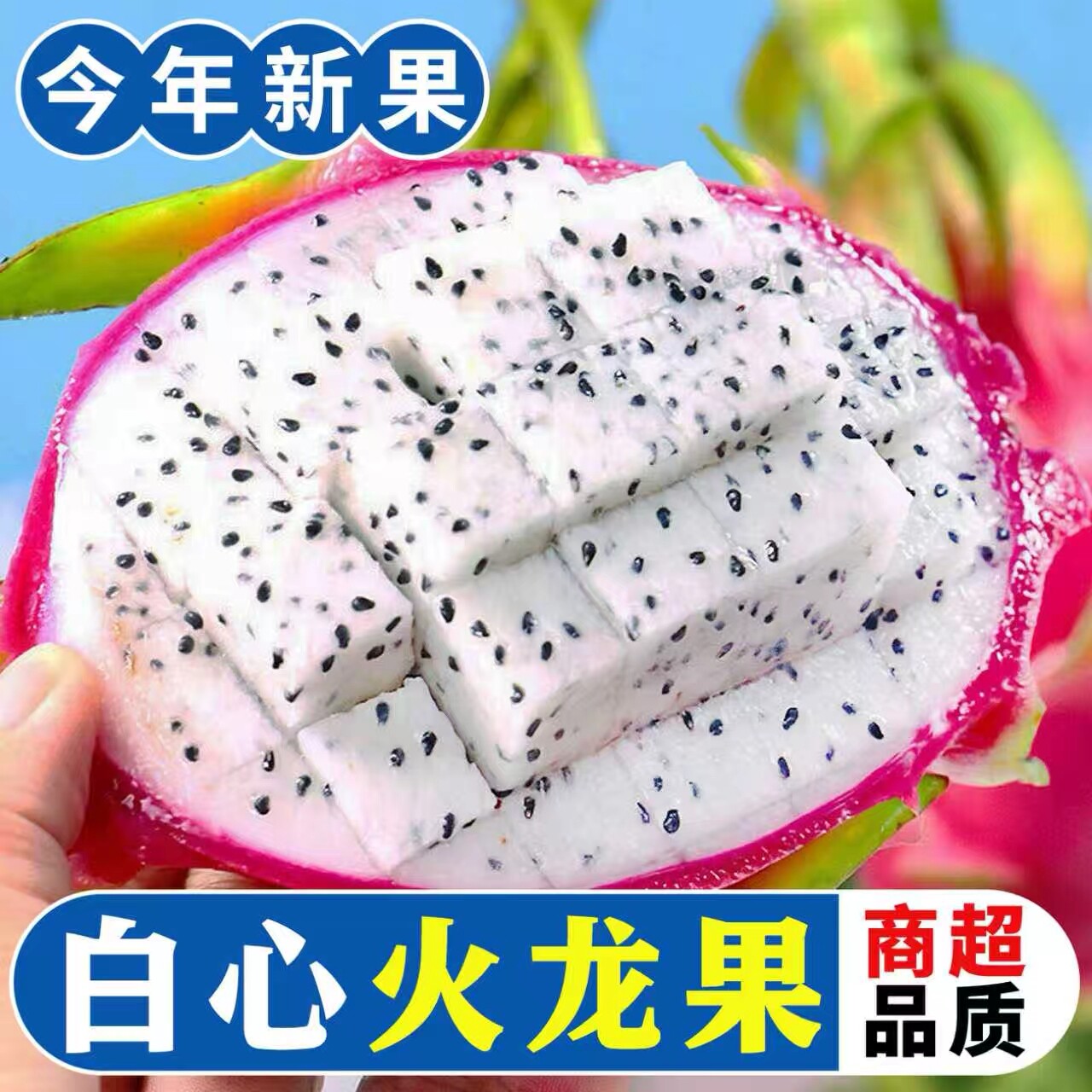 白心火龙果越南进口新鲜孕妇水果当季白肉密宝燕窝麒麟果整箱包邮
