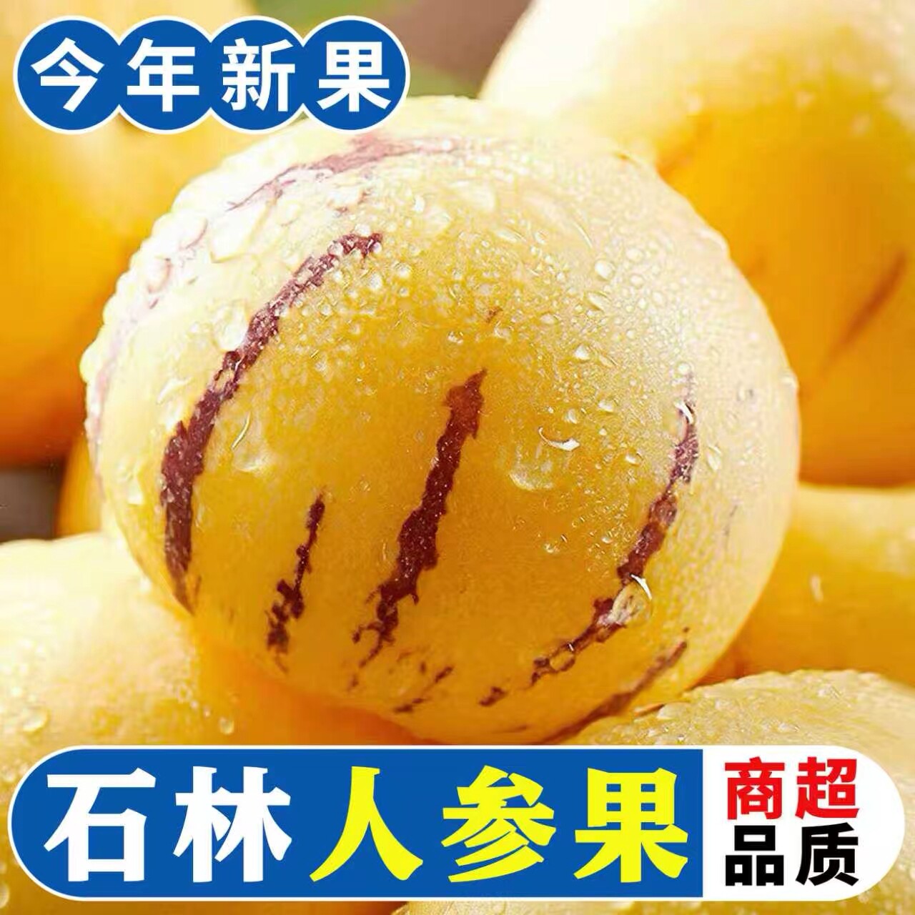 正宗石林树熟清甜多汁人参果水果