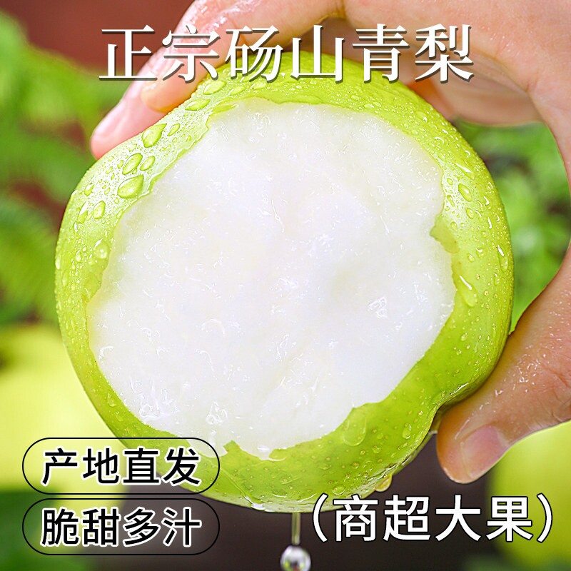 皇冠梨青梨砀山梨子当季现摘新鲜水果水晶蜜梨雪梨青皮梨整箱包邮