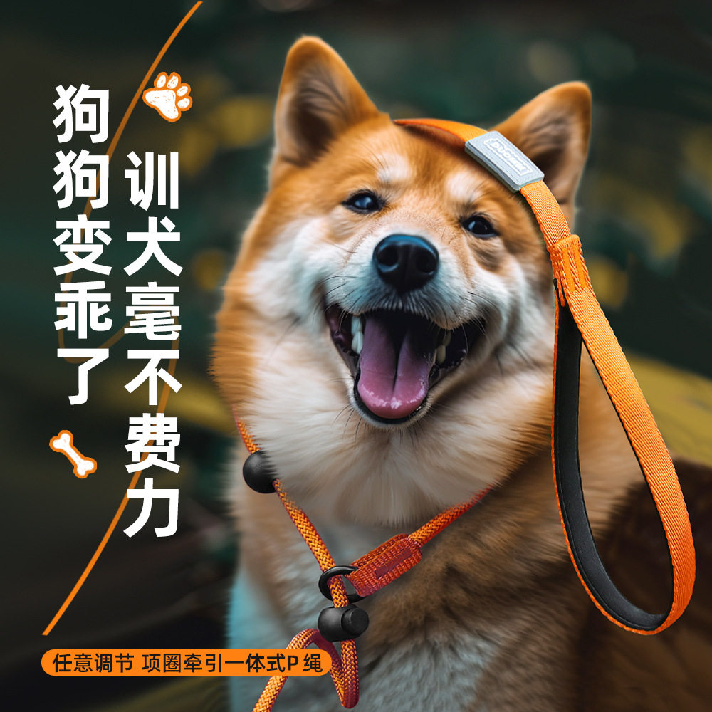 宠物牵引绳中大型犬P绳狗绳 一体式可调节防爆冲尼龙编织遛狗P链