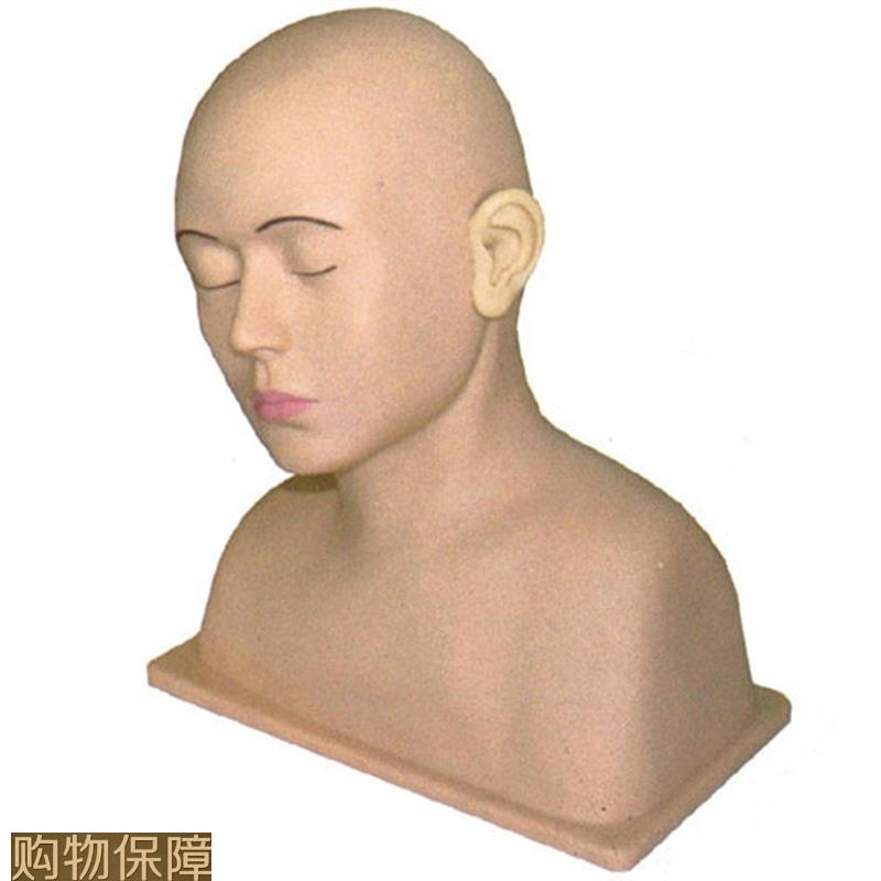 高级耳部冲洗模型