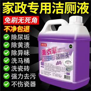 洁厕灵强力除垢除臭清香型液马桶厕所清洁剂去渍液强力去污去黄