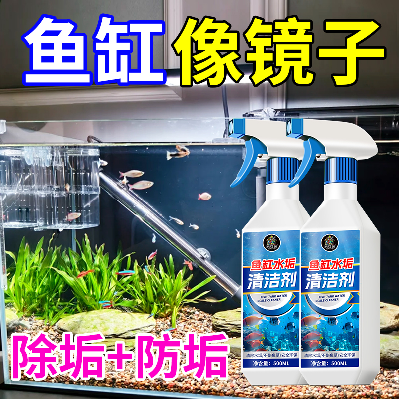 【鱼缸干净的像镜子】