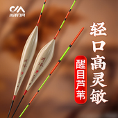 川泽2支装 高灵敏鲫鱼漂加粗抗走水芦苇漂 LC芦苇鱼漂醒目轻口正品