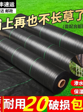防草布除草布耐用地钉批发新型地布果树专用厂家直销庭院农用打孔