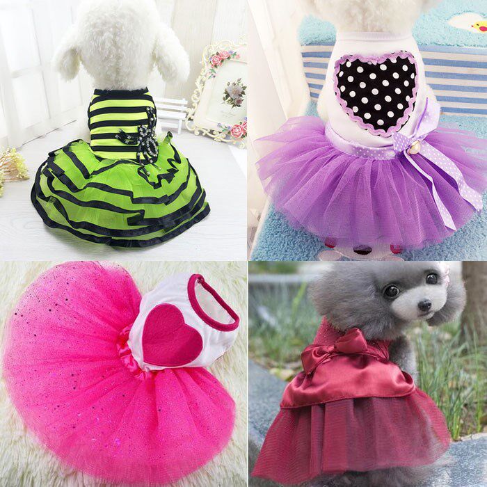 Dogs clothes skirt The Little Princess Pompous skirt lovely Bichon Fawn dog Pekingese VIP Chihuahua It it small-scalein the Pet/Pet food and supplies , Pet apparel and accessories , Pet clothing/Raincoat  category - from Buy2taobao.com to provide professional Taobao agent buy service