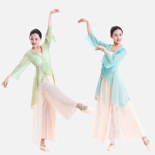 古典舞蹈服纱衣中国舞练功服女身韵仙气飘逸雪纺上衣演出服装套装