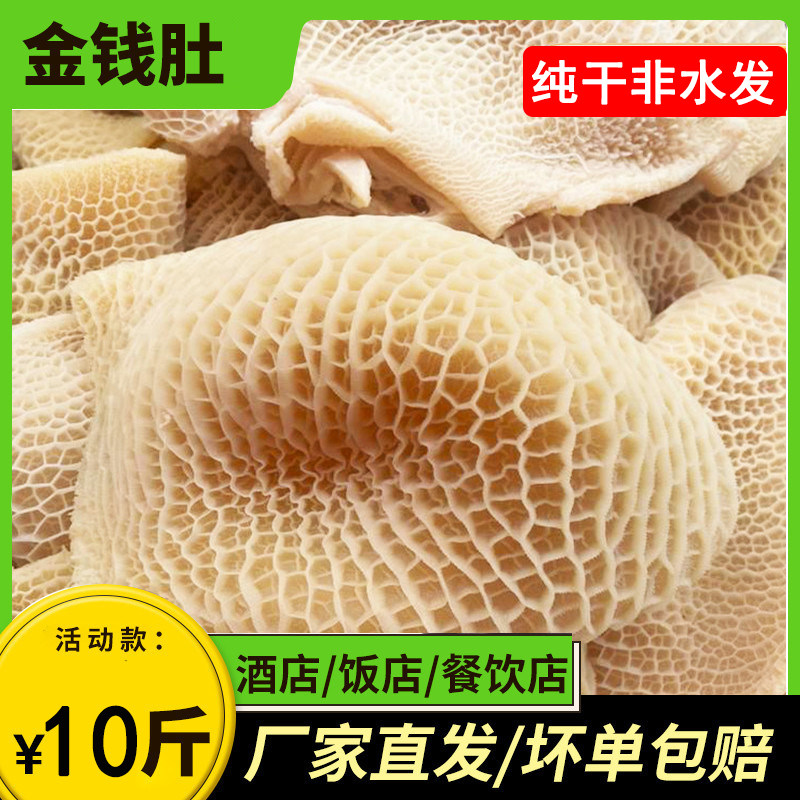 10斤新鲜现煮牛金钱肚九成干蜂窝肚冷冻黄牛肚牛胃黄金肚火锅食材