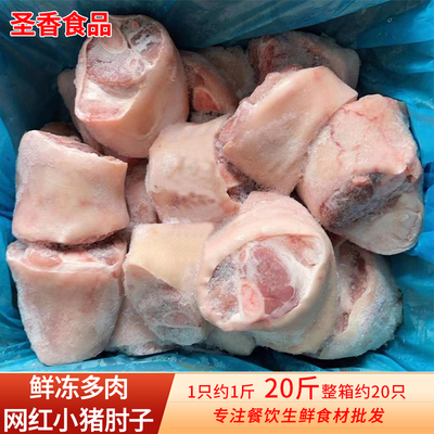 鲜冻多肉网红小猪肘子20斤整箱