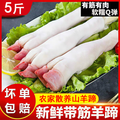 5斤生羊蹄新鲜现杀冷冻农家散养山羊蹄子整只带筋生羊脚2斤羊蹄子