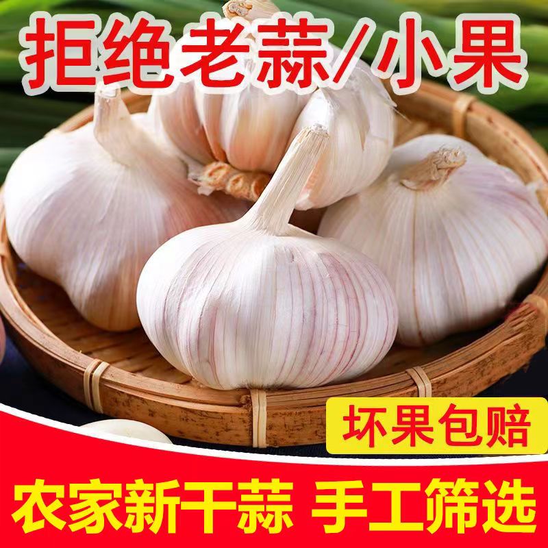 杞县大蒜紫白皮新蒜干蒜