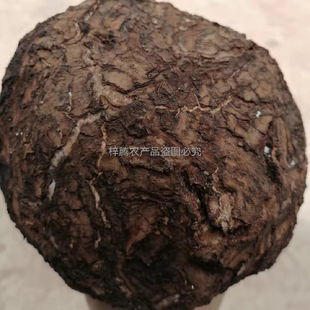 云南松根鲜茯苓茯苓切块中药材原生态整个鲜茯苓茯神