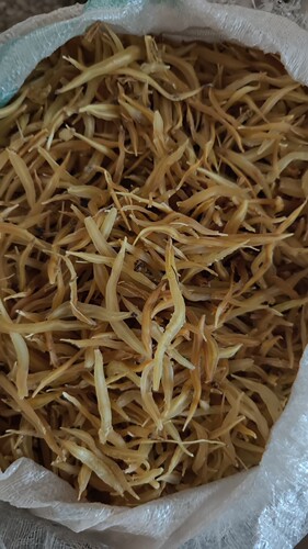 中药小天门冬泡酒正品非种植老虎尾巴根新鲜天门冬干品1000g包邮