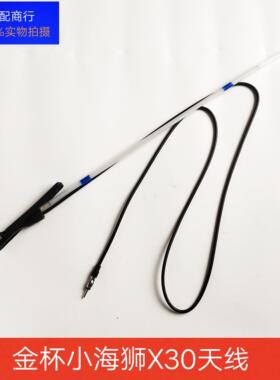 金杯小海狮X30 T30T32新海狮X30L T50T52海星A7A9车载收音机天线