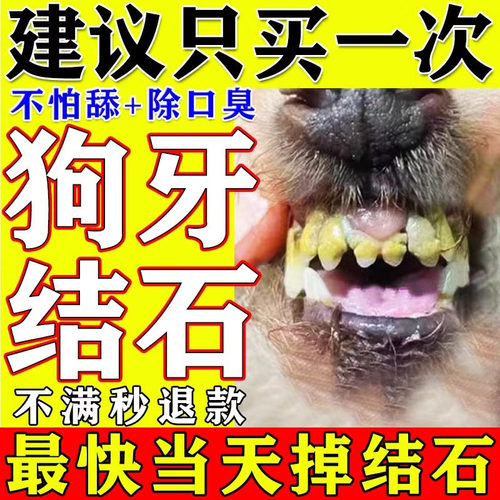 狗狗牙结石去除器溶解牙石速效猫狗除口臭喷剂口腔消炎牙菌斑泰迪