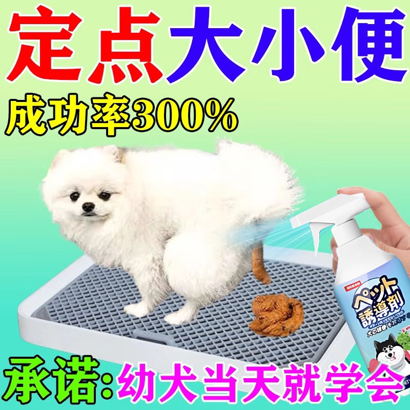 狗狗定点排便诱导剂上厕所神器训练宠物幼犬大小排便防止乱拉屎尿
