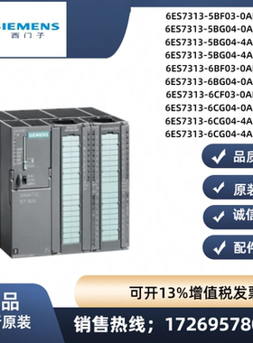 西门子6ES7 313-5BF04/03/6BF03/6BG04/6CF03/04/6CG04-0AB0 原装