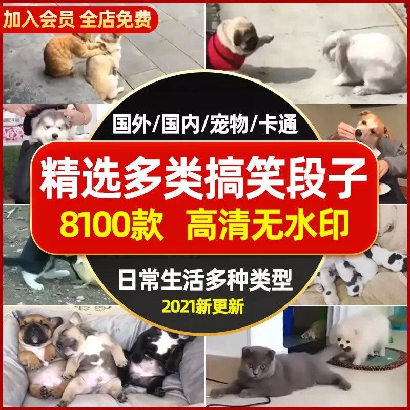 国内外卡通宠物动物日常生活搞笑段子体育运动自媒体短视频素材