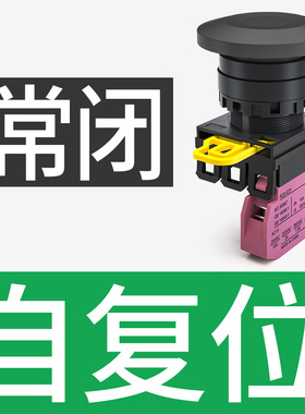 R.STAR蘑菇头按钮开关22mm自锁自复位电源启动停止常开R22B-M410G