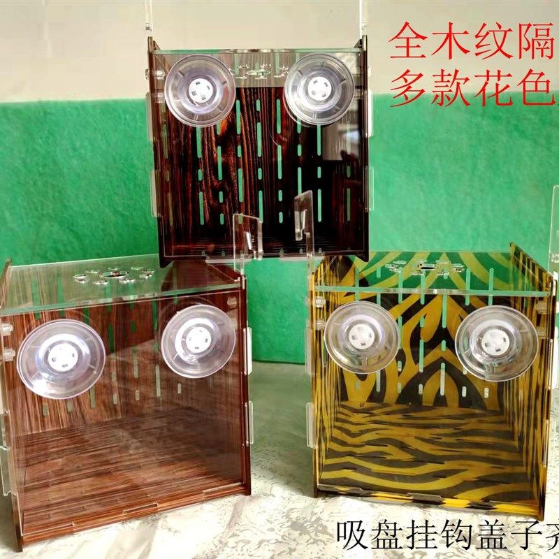 新款防逃环形盖或者掀盖可选亚克力四面木纹乌龟隔离盒窄桥龟发色,珠宝/钻石/翡翠,翡翠裸石/蛋面,淘宝优惠券,粉丝福利购,淘宝优惠卷