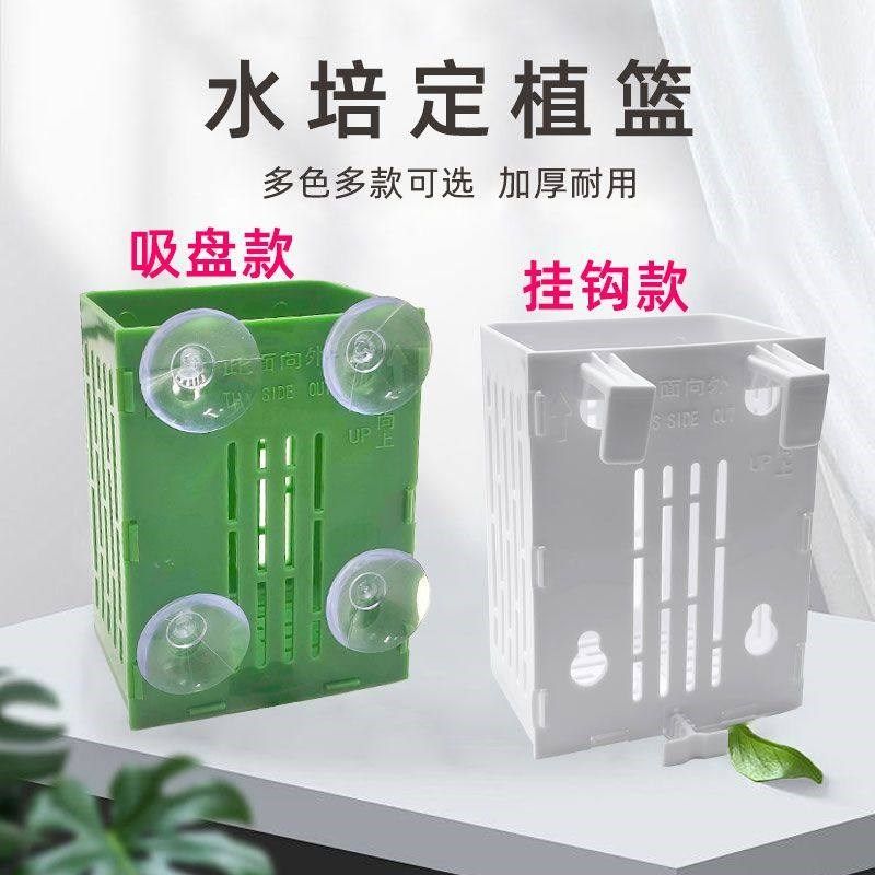 水培固定篮鱼缸水草固定吸盘固定篮种植杯鱼缸造景装饰绿萝定植篮,珠宝/钻石/翡翠,翡翠裸石/蛋面,淘宝优惠券,粉丝福利购,淘宝优惠卷