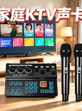 电视雷石车载DSP无线声卡话筒
