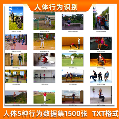 人体五种行为数据数据集yolo格式txt标签1500张目标检测yolov5