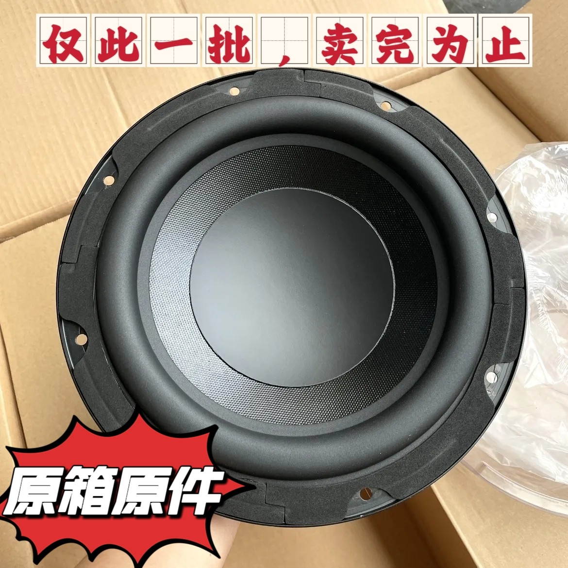 国光10寸120双磁低音炮约4欧200W车载重低音家庭影院