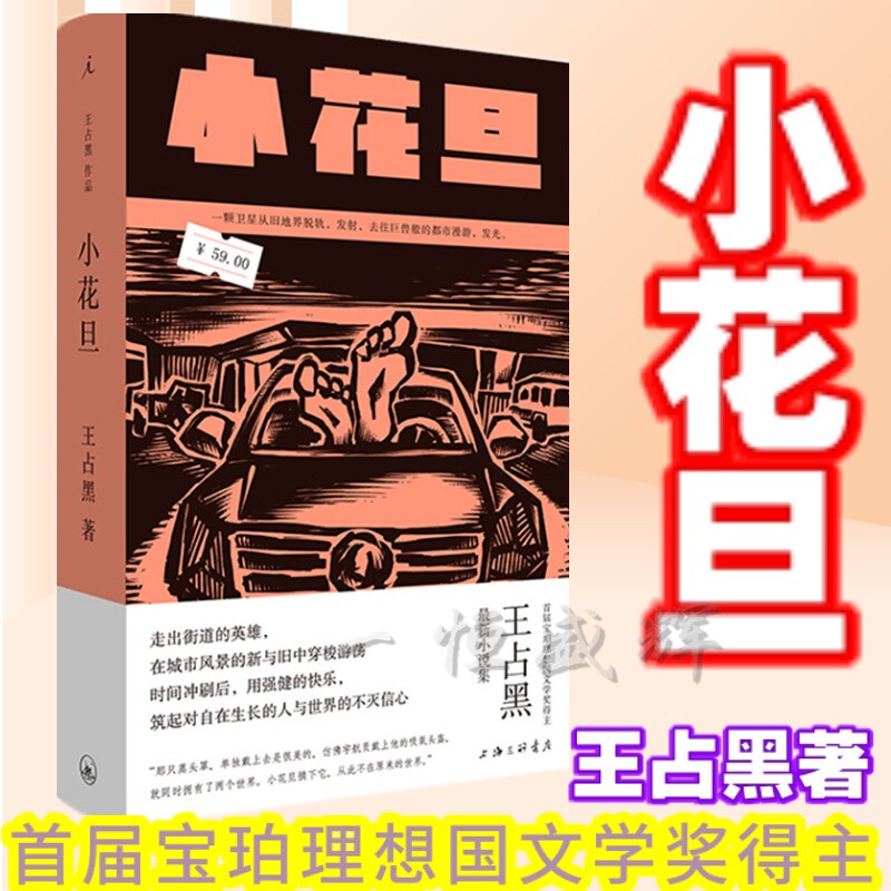 现货正版 小花旦 王占黑 著理想国出品 宝珀理想国文学奖得主空响炮