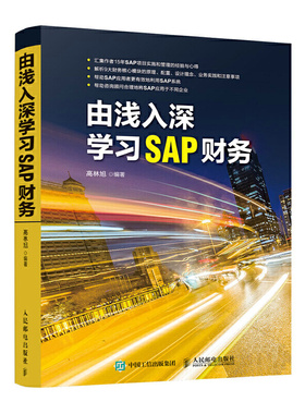正版  由浅入深学习SAP财务 高林旭 著人民邮电出版社】财务分析ERP系统会计资产获利分析15年SAP项目实施和管理经验分享