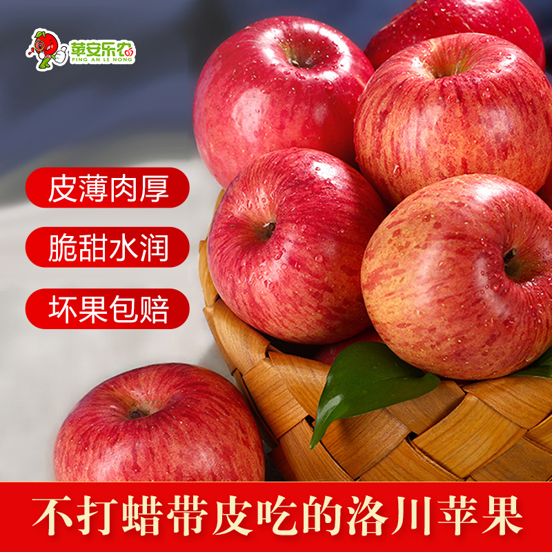 正宗陕西洛川红富士24枚一级果