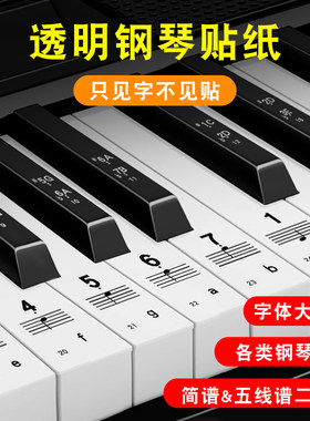 初学者学琴神器钢琴贴纸