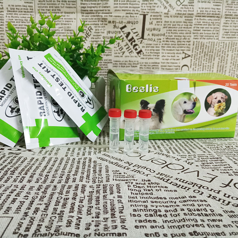 Meerkat fpv mũi mèo fhv mèo truyền máu thử nghiệm dải mèo nhỏ phát hiện thẻ coronavirus bộ 1 mảnh với 3 - Cat / Dog Medical Supplies 	các loại kim tiêm thú y	
