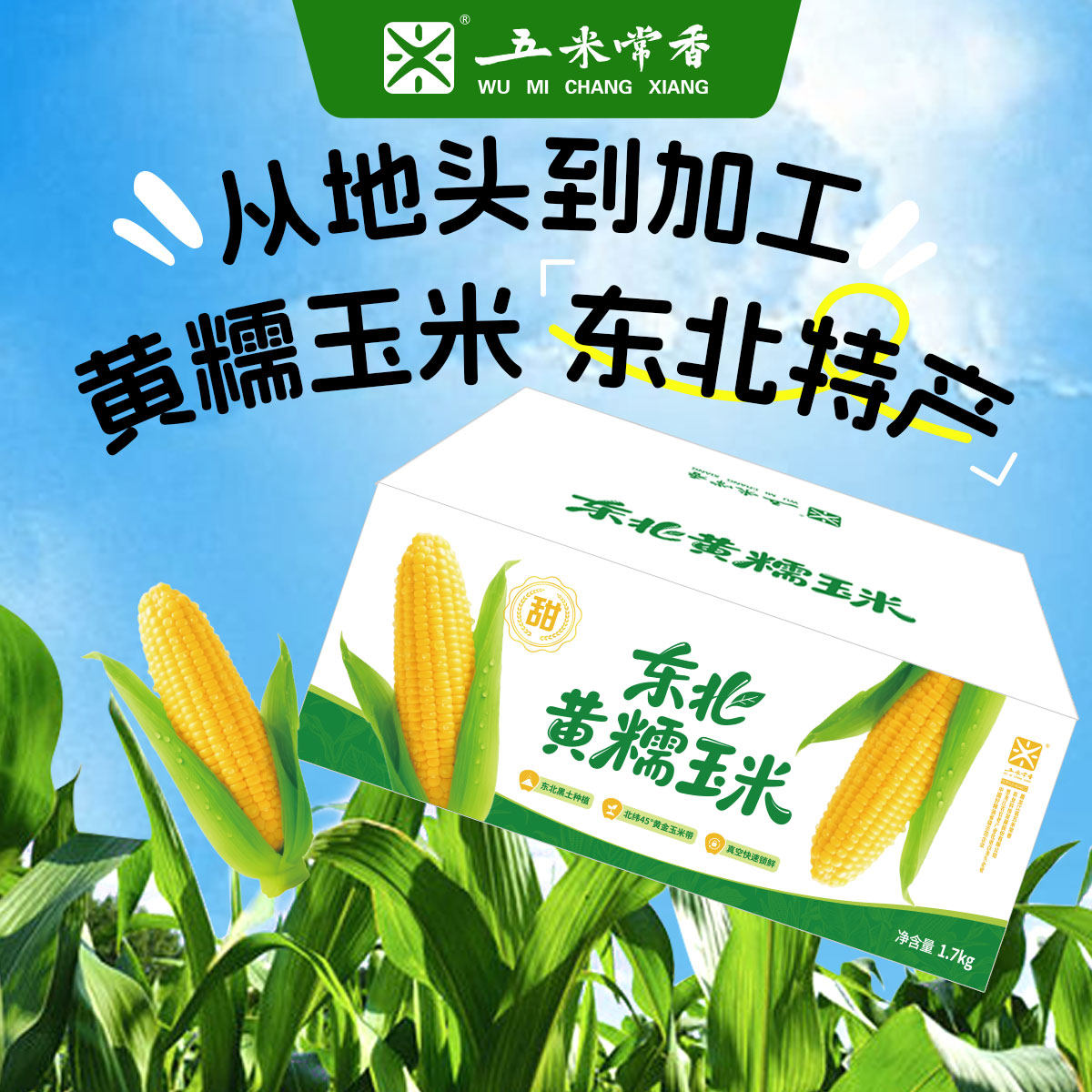 25年新玉米黄糯玉米东北黏玉米粘苞米棒低脂8根装