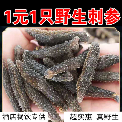 黑刺参海参6-8年纯野生淡干海参干货深海低播小刺参非大连辽参礼 - 封面