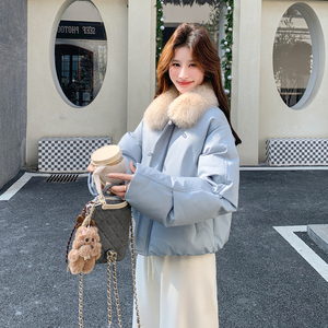新品2578p305K458冬季蓝色90白鸭绒连帽毛领羽绒服图片
