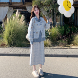 现货2604p185k298假两件条纹拼接套装女2026春季新款半身裙两件套，女装大码女装，2B105