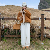 现货8821kp195k288麂皮绒2025新款小个子冬季加绒加厚羊羔毛外套，女装派克服，丽人依阁