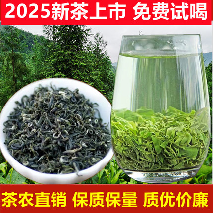 2025年新茶马边绿茶明前绿毛峰四川高山绿茶早春茶叶好喝散装500g