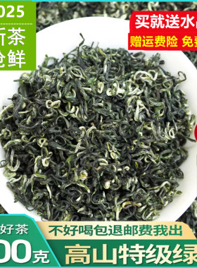新茶明前绿茶毛峰500g支持试喝