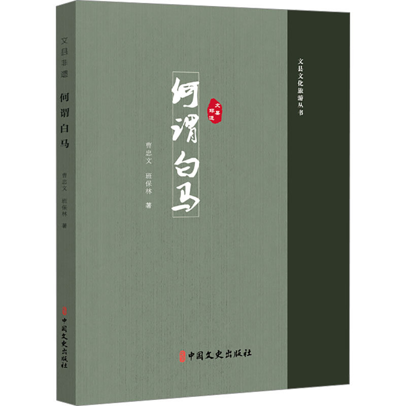 文县非遗:何谓白马