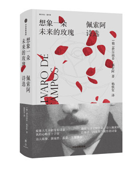 想象一朵未来的玫瑰 诗人费尔南多·佩索阿：侥幸的爱:佩索阿情书集+厌倦了爱+惶然录