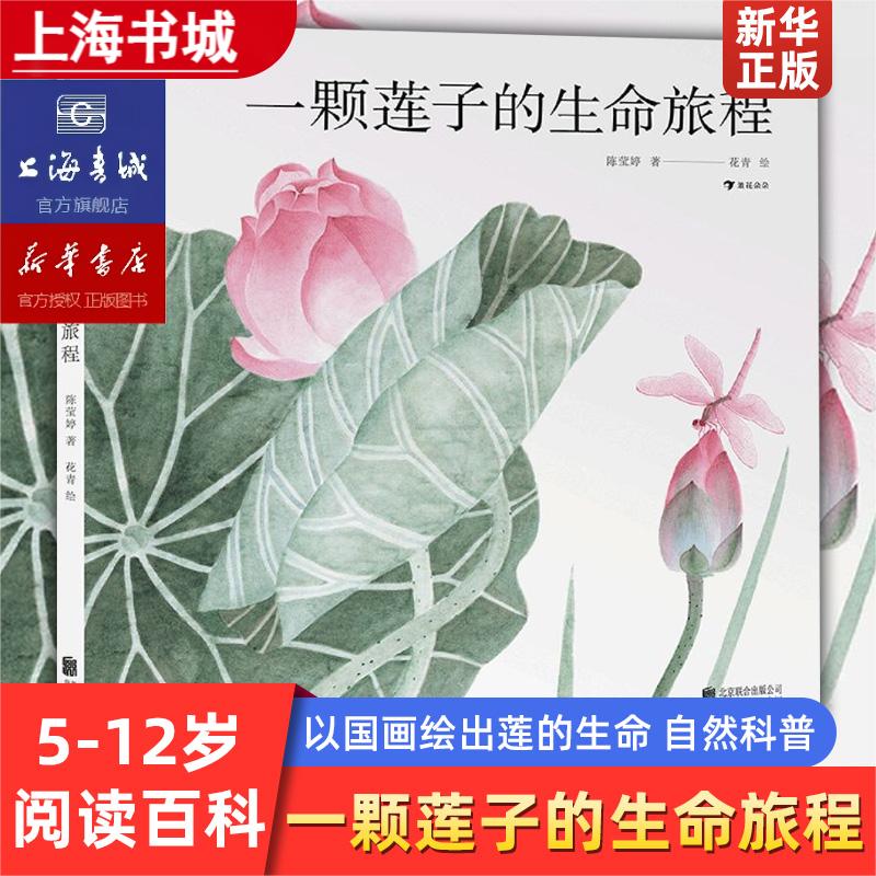 一颗莲子的生命旅程 以国画绘出莲的生命轮回国风情怀自然科普绘本 系统讲述莲文化和莲的科学知识  陈莹婷 浪花朵朵