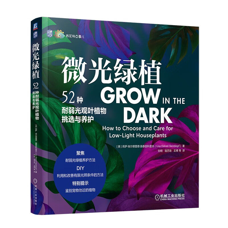 微光绿植:52种耐弱光观叶植物挑选与养护使用感如何?
