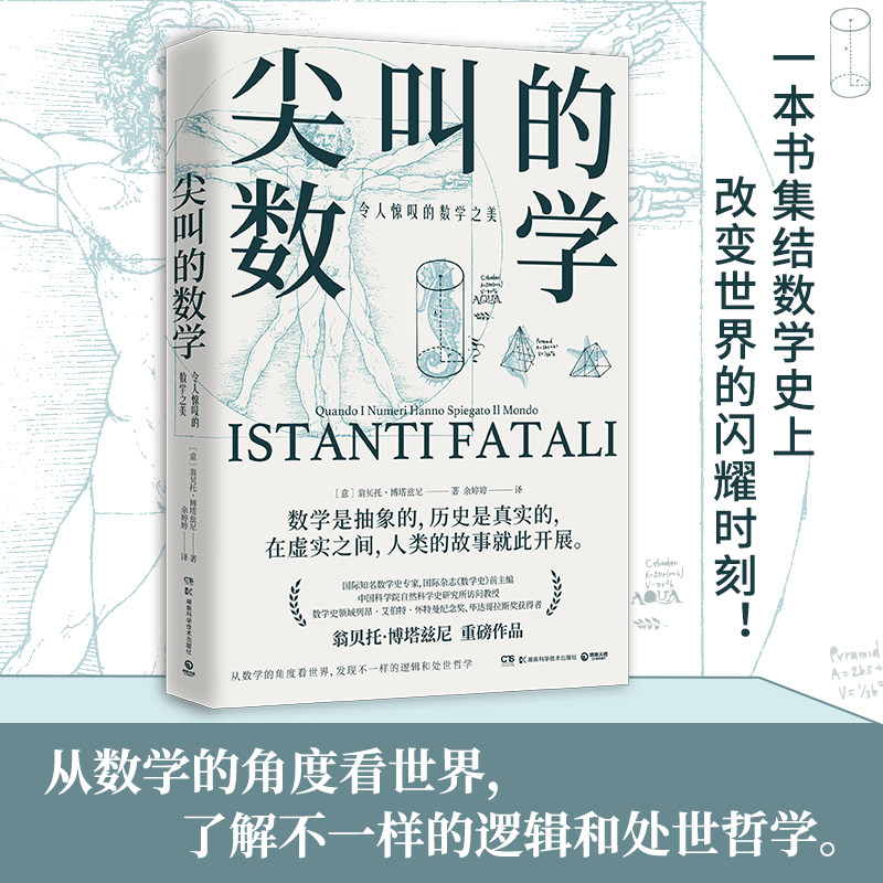 尖叫的数学：令人惊叹的数学之美 翁贝托·博塔兹尼通俗的数学史读物以讲故事的方式为读者展示了改变了数学历史 自然科学读物正版 - 实物图