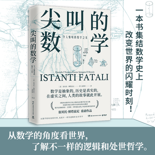 尖叫的数学：令人惊叹的数学之美 翁贝托·博塔兹尼通俗的数学史读物以讲故事的方式为读者展示了改变了数学历史 自然科学读物正版