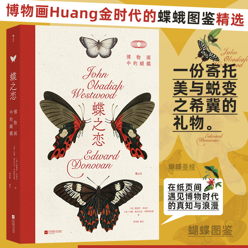 蝶之恋 博物画中的蝴蝶 复古艺术馆系列 116幅画作近300种蝶与蛾昆虫学蝴蝶图鉴 自然艺术科普书籍 后浪正版