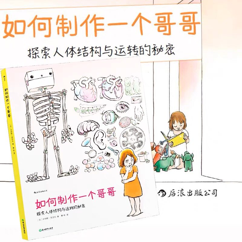 浪花朵朵正版现货 如何制作一个哥哥:探索人体结构与运转的秘密 3-12岁科普绘本 知识百科儿童书籍 我们的身体使用感如何?